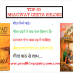 Pandit for SHRIMAD BHAGWAT GEETA PATH JAYANTI PUJA