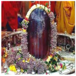 Pandit for LAGHU RUDRABHISHEK PUJA