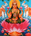 Pandit for Vaibhav Laxmi Vrat Udyapan Puja