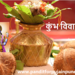 Pandit for Kumbha Vivah puja